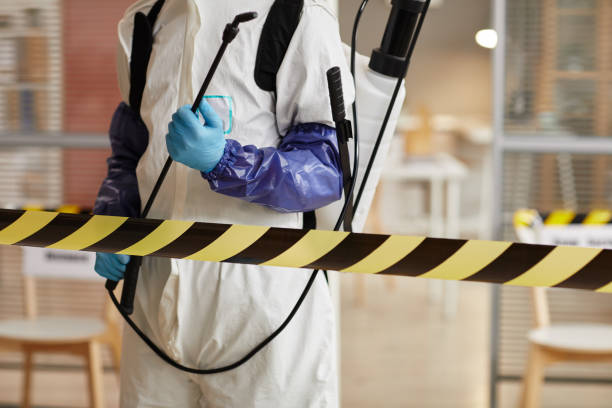 Professional Sewage Cleanup technician working in Wesley, AR